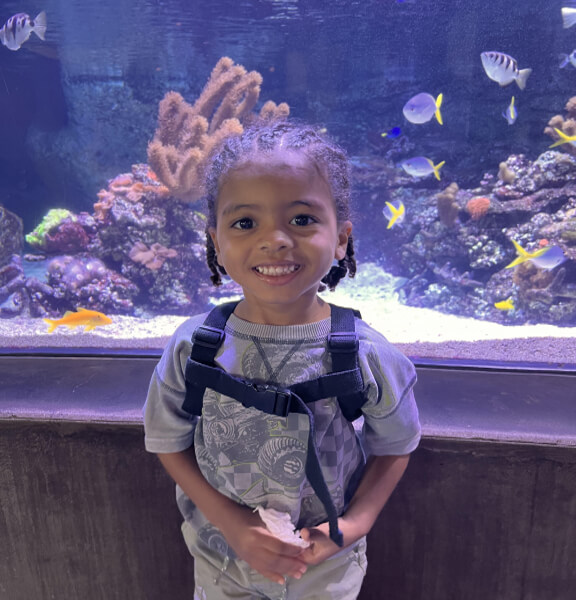 Fish Tank