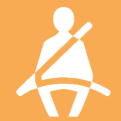 Pending Regulation: Rear Seat Belt Reminders icon