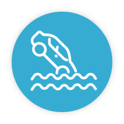 vehicle submersion icon