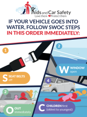 Surviving Vehicle Submersion Rack Card