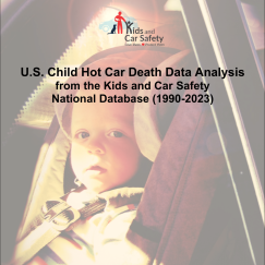 hot car death analysis preview