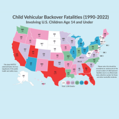 Child Vehicle Backover Fatalities