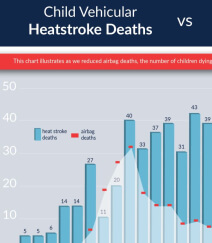 Airbag vs Heatstroke deaths