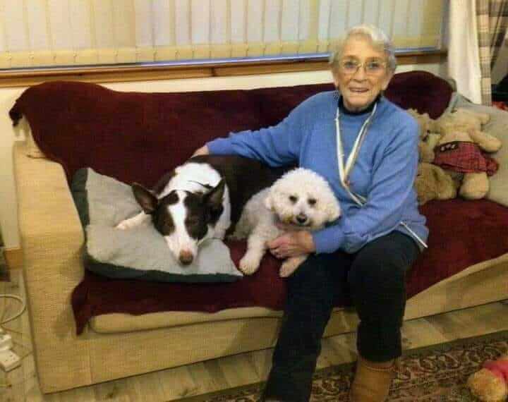 A recent photograph of Edna with her dogs Zannussi and Missy. Courtesy of Edna Clyne-Rekhy