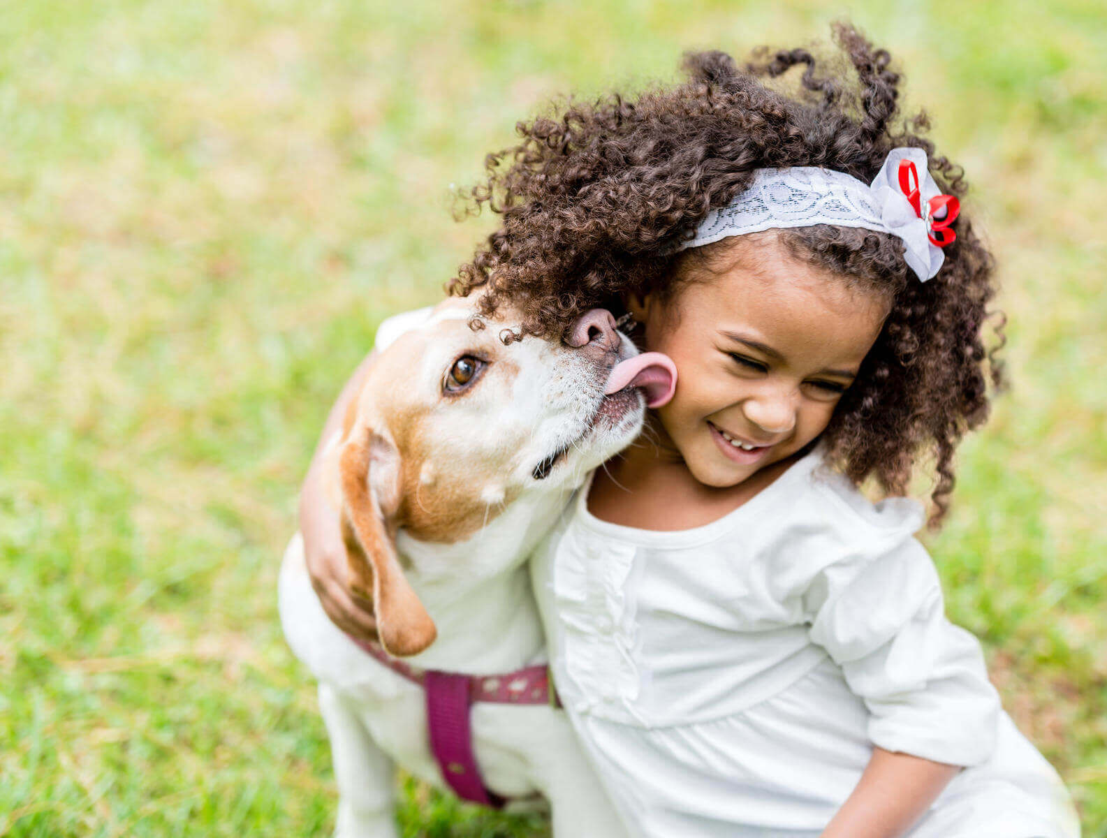 dog licking face of girl